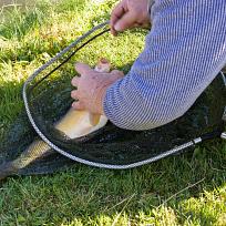 2019 - Podzimní rybářské závody 