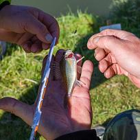 2019 - Podzimní rybářské závody 