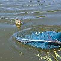 2019 - Podzimní rybářské závody 
