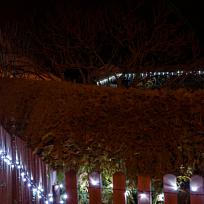 2019 - Vánoční Koloveč