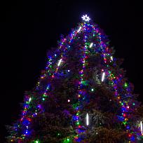 2019 - Vánoční Koloveč