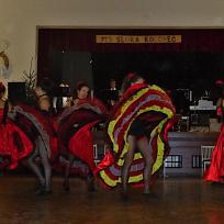 2020 - Myslivecký ples MS Sluka Koloveč 