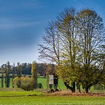 28.10. pohled od Holce na Velký kozlík