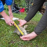 2020 - Jarní rybářské závody