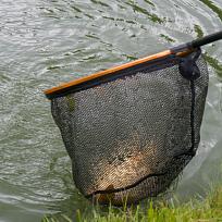 2020 - Jarní rybářské závody