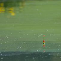 2020 - Jarní rybářské závody