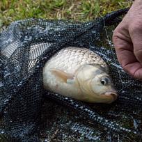 2020 - Jarní rybářské závody