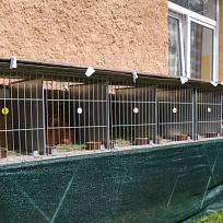 2020 - Kolovečská Pouť