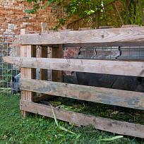 2020 - Kolovečská Pouť