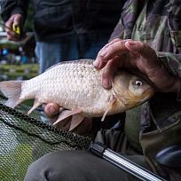 2020 - Podzimní rybářské závody