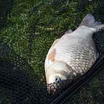 2020 - Podzimní rybářské závody