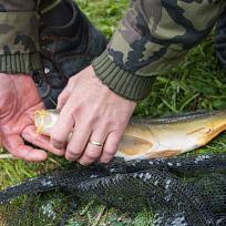 2020 - Podzimní rybářské závody