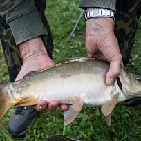2020 - Podzimní rybářské závody