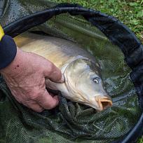 2020 - Podzimní rybářské závody