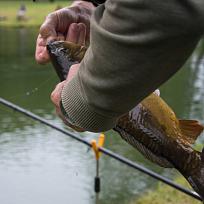 2020 - Podzimní rybářské závody