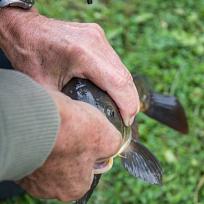 2020 - Podzimní rybářské závody