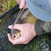 2020 - Podzimní rybářské závody