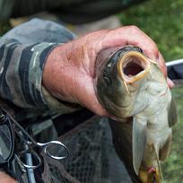2020 - Podzimní rybářské závody