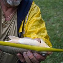 2020 - Podzimní rybářské závody