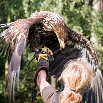 2020 - Ukončení prázdnin v Kolovči