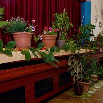 2020 - Prodejní výstava zahrádkářů v Kolovči