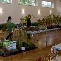 2020 - Prodejní výstava zahrádkářů v Kolovči