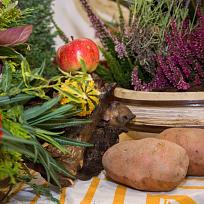 2020 - Prodejní výstava zahrádkářů v Kolovči