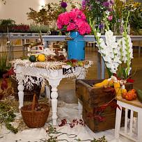 2020 - Prodejní výstava zahrádkářů v Kolovči