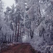 29.11. zimní Bílý kámen