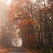 8.11. podzimní cesta do Přikřice