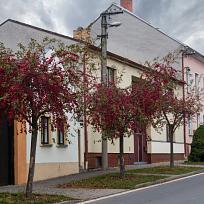 7.11. Domažlická ulice v Kolovči