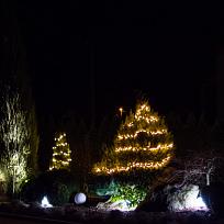 2020 - Advent v Kolovči