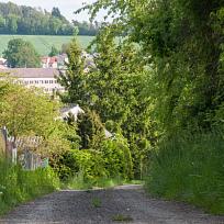 2021 - Trpasličí jarní cesta