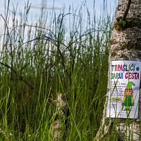 2021 - Trpasličí jarní cesta