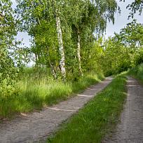 2021 - Trpasličí jarní cesta