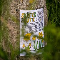 2021 - Trpasličí jarní cesta