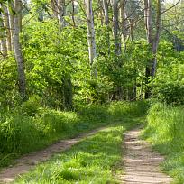 2021 - Trpasličí jarní cesta