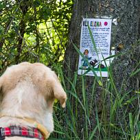 2021 - Trpasličí jarní cesta