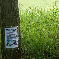 2021 - Trpasličí jarní cesta