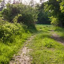 2021 - Trpasličí jarní cesta