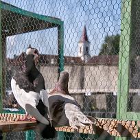 2021 - Kolovečská pouť