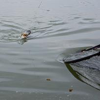 2021 - Podzimní rybářské závody