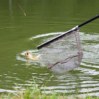2021 - Podzimní rybářské závody