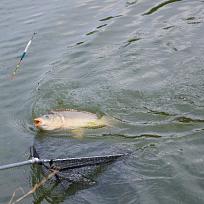 2021 - Podzimní rybářské závody