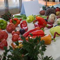 2021 - Prodejní zahrádkářská výstava v KD Koloveč