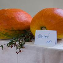 2021 - Prodejní zahrádkářská výstava v KD Koloveč