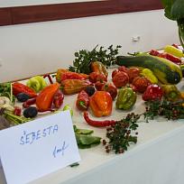 2021 - Prodejní zahrádkářská výstava v KD Koloveč