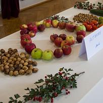 2021 - Prodejní zahrádkářská výstava v KD Koloveč