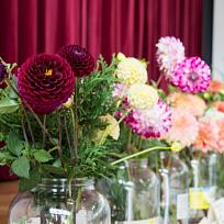 2021 - Prodejní zahrádkářská výstava v KD Koloveč