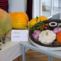 2021 - Prodejní zahrádkářská výstava v KD Koloveč